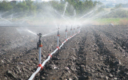 Sprinkler for sprinkler irrigation system