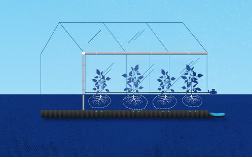 Visualization of a rainwater harvesting system used for irrigation | Pipelife