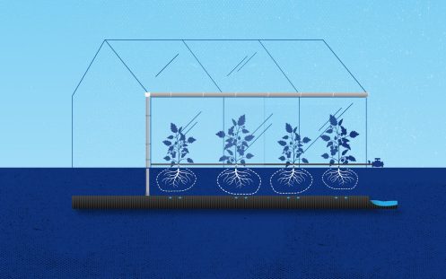Visualization of a rainwater harvesting system used for irrigation | Pipelife