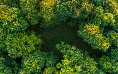 Aerial view of forest and hill