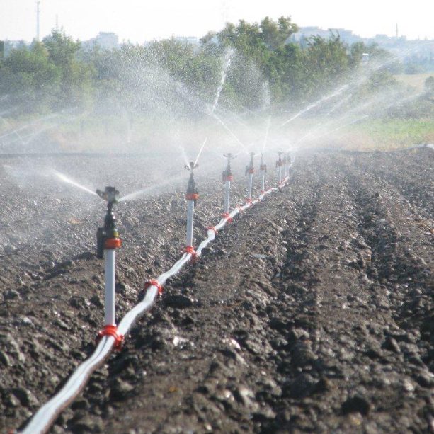 Sprinkler for sprinkler irrigation system